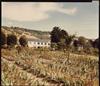 SHORE, STEPHEN (1947- ) Together, 2 photographs from Giverny, France.